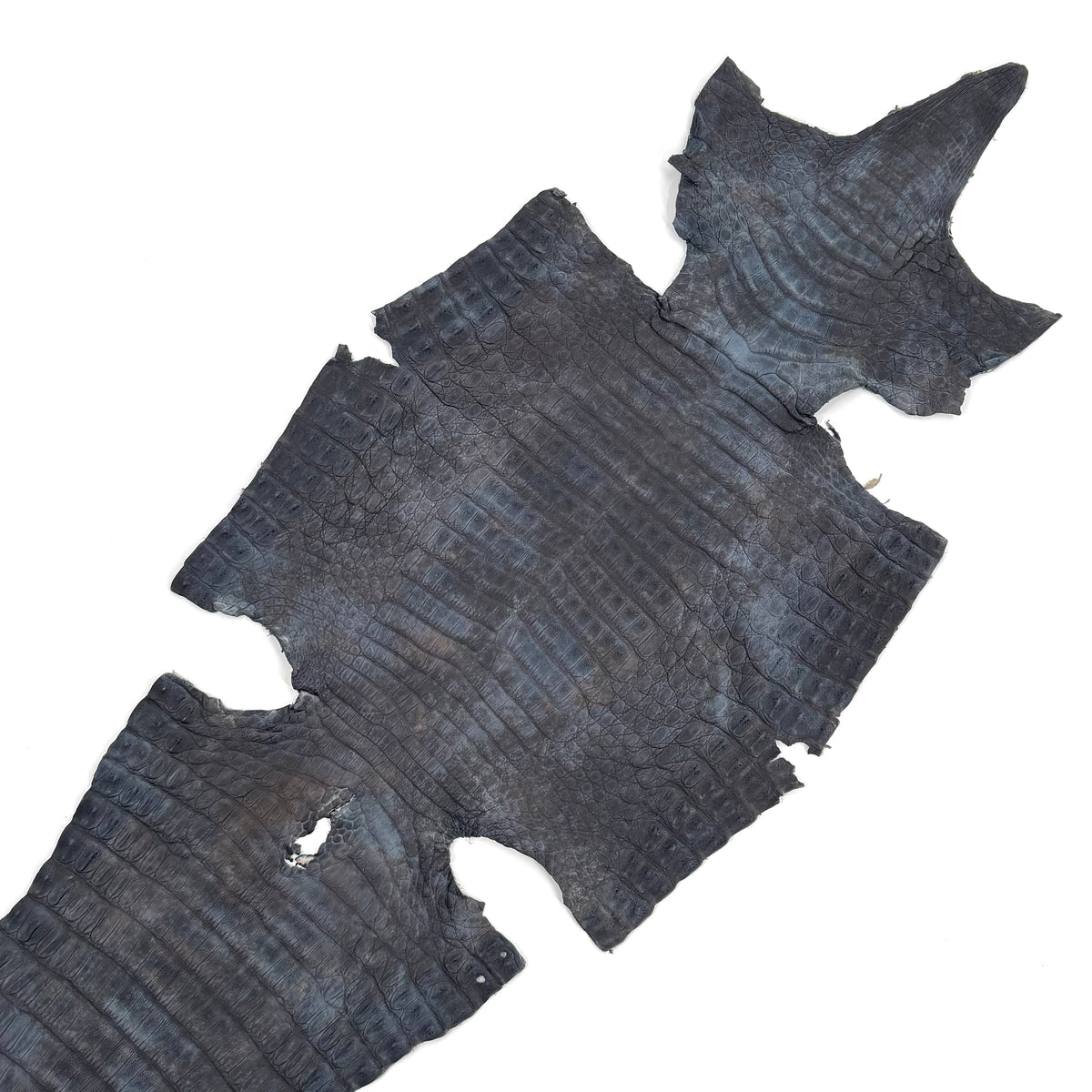 Navy Caiman Skins - Only 3 available | Sale