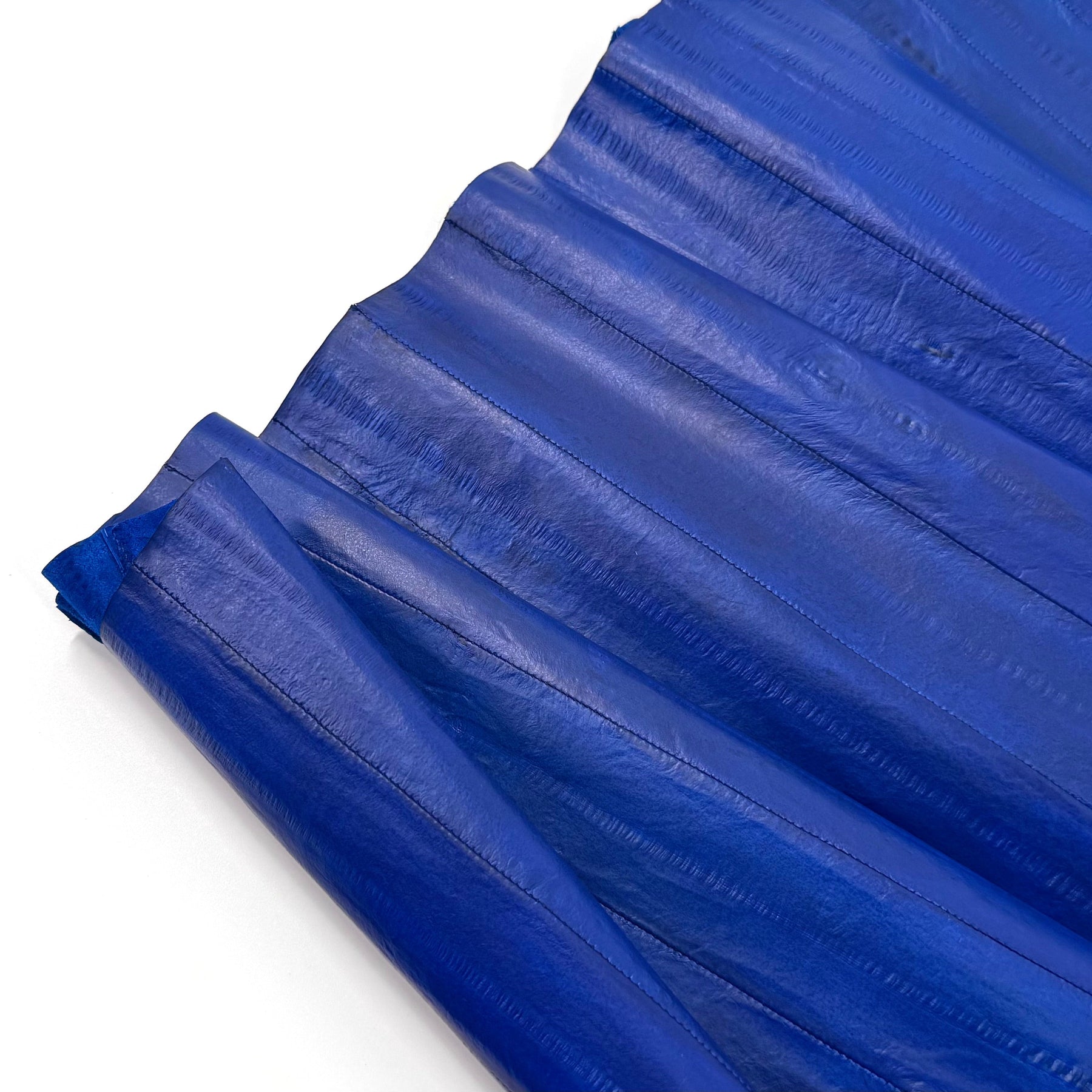 Electric Blue Eel Plate - 8 available | SALE