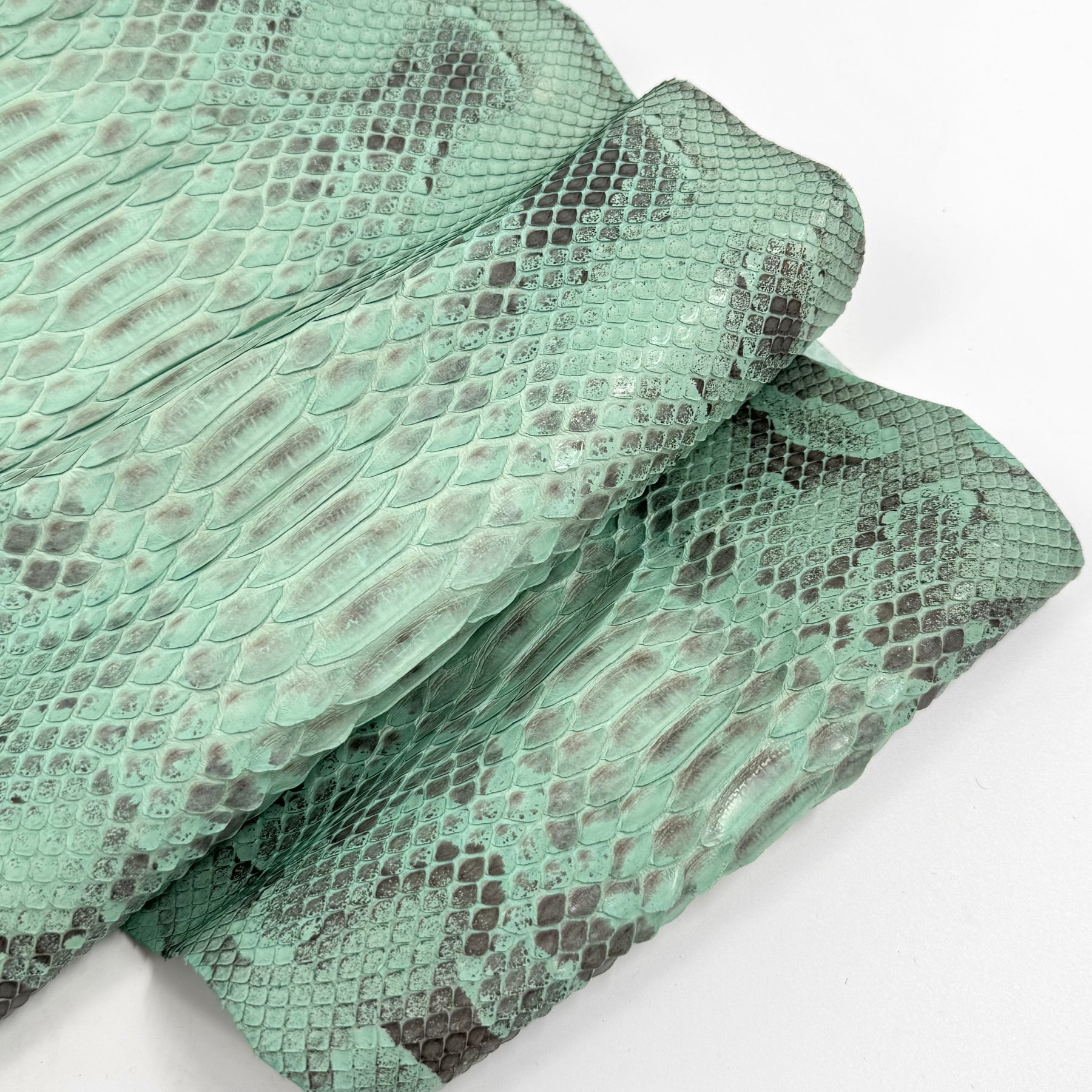 Mint Python Z4 - 1 Available | SALE