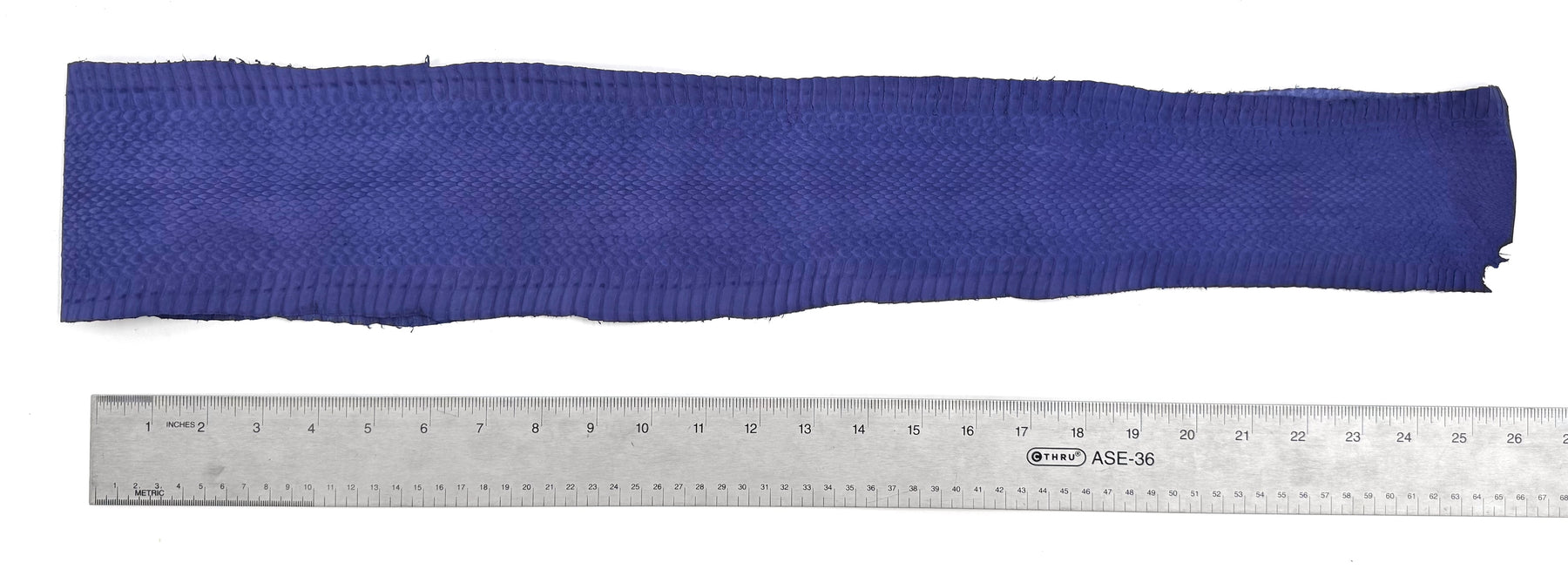 Matte Purple/Cobalt Whip Snake Skins | FINAL SALE