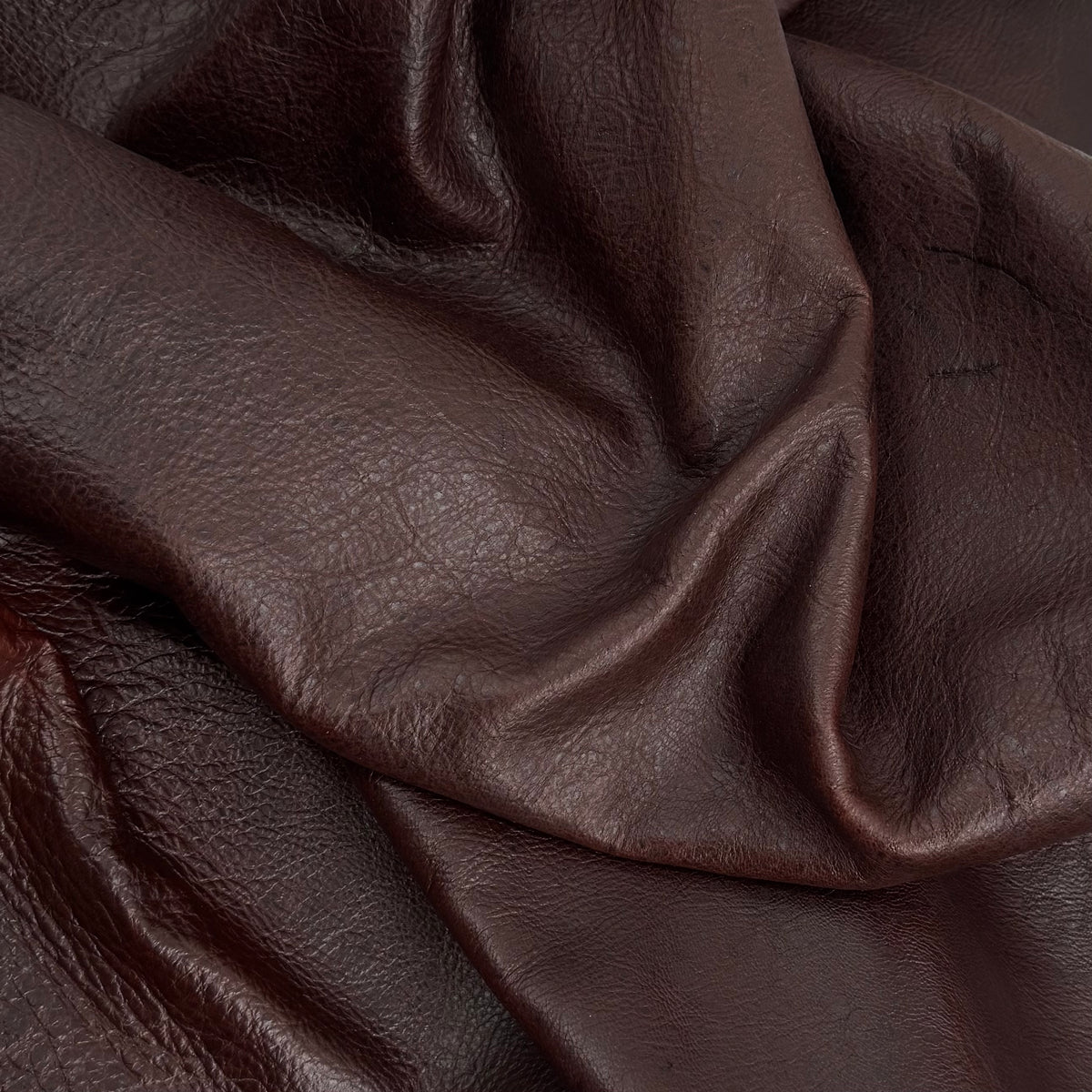 South African Oryx in Dark Rust Brown