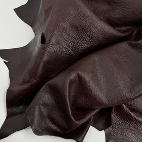 South African Oryx in Dark Rust Brown