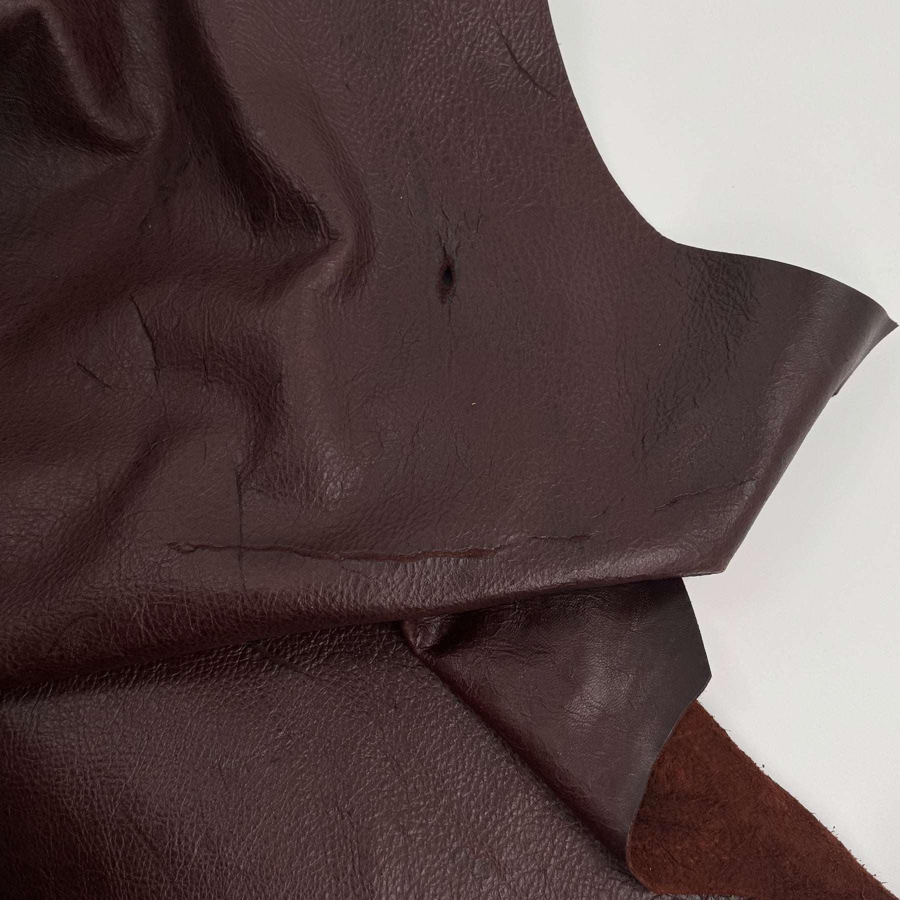 South African Oryx in Dark Rust Brown