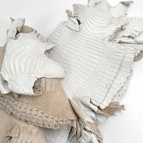White Pigmented Caiman - Grade 2 & Grade 3 | Sale