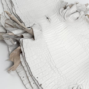 White Pigmented Caiman - Grade 2 & Grade 3 | Sale