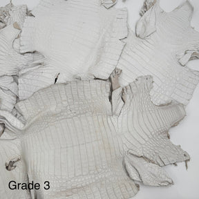 White Pigmented Caiman - Grade 2 & Grade 3 | Sale