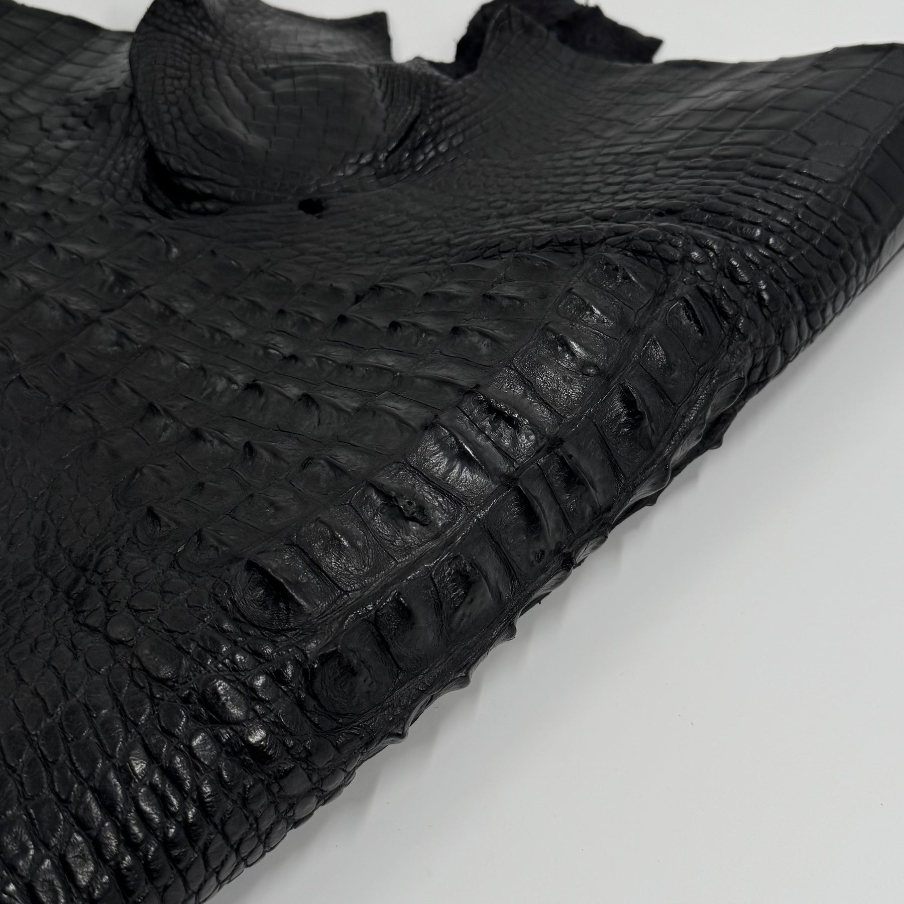Exclusive Hornback Alligator in Black (56 cm) - Only 1 Available!