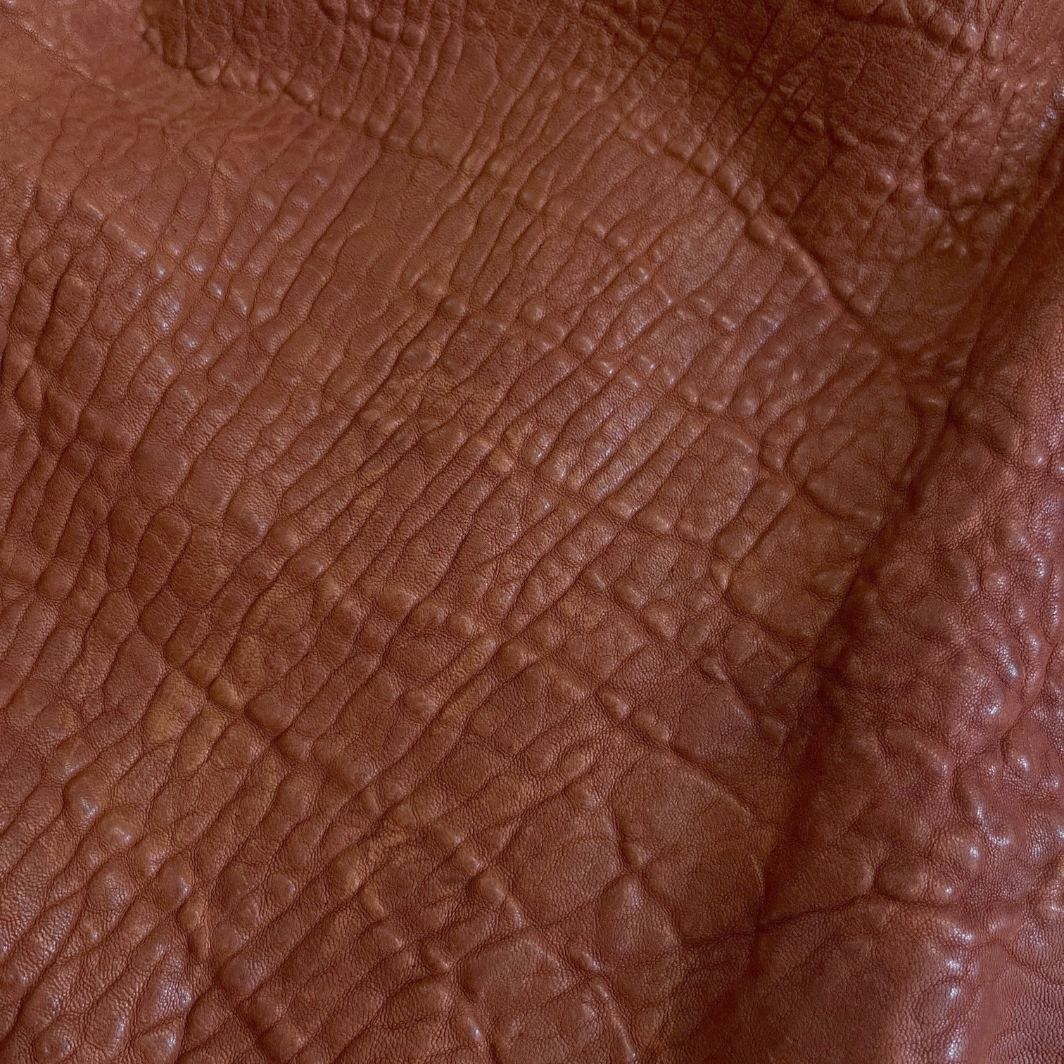 Shrunken Lamb | Cognac
