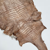 30% OFF Large Nile Crocodile - Hand Painted "Cinnamon Beige" 45 cm | SALE
