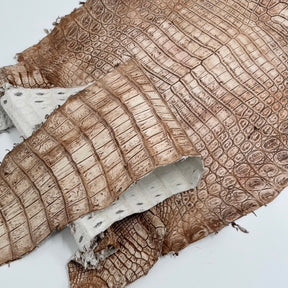30% OFF Large Nile Crocodile - Hand Painted "Cinnamon Beige" 45 cm | SALE
