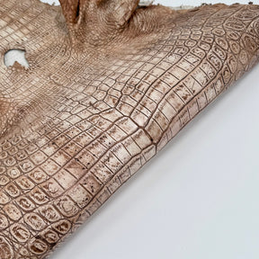 30% OFF Large Nile Crocodile - Hand Painted "Cinnamon Beige" 45 cm | SALE