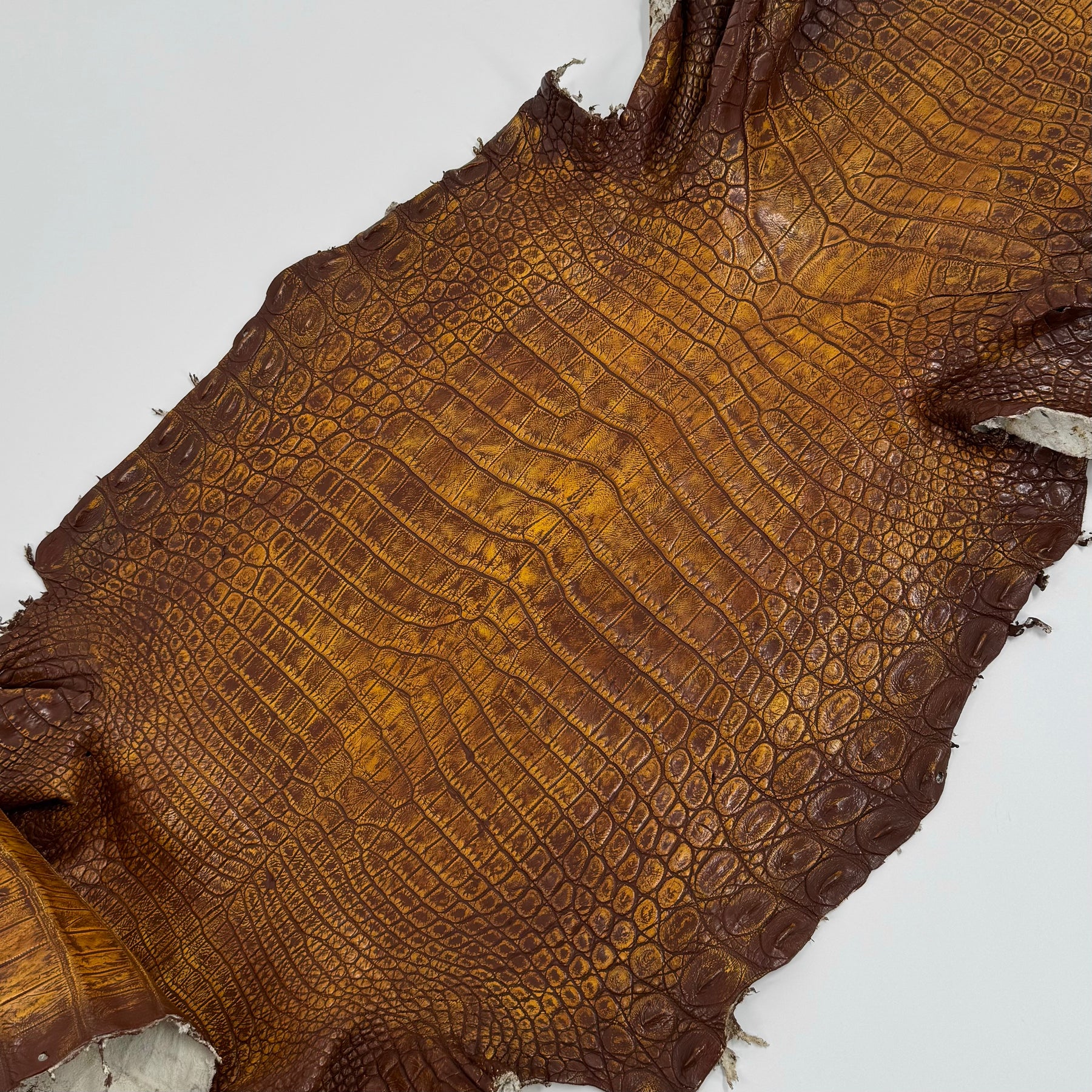 25% OFF Large Nile Crocodile - Hand Painted "Yellow Rust" 44 cm | SALE