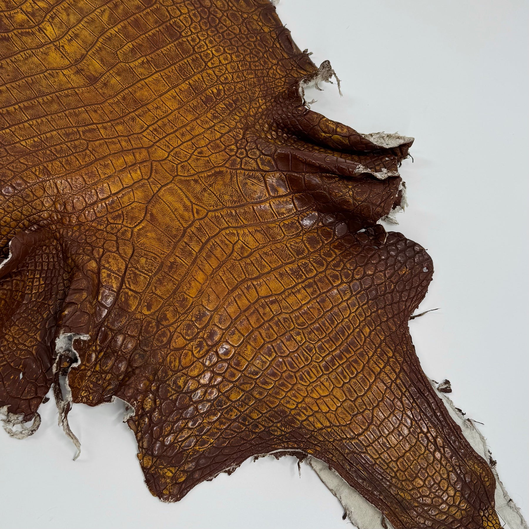 25% OFF Large Nile Crocodile - Hand Painted "Yellow Rust" 44 cm | SALE