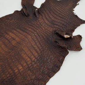 Buy 2, Get 20% OFF - Small Nile Crocodile - Only 4 available | SALE