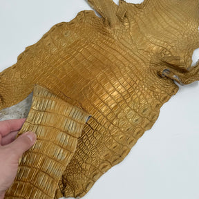 Buy 2, Get 20% OFF - Small Nile Crocodile - Only 4 available | SALE