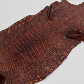 Buy 2, Get 20% OFF - Small Nile Crocodile - Only 4 available | SALE