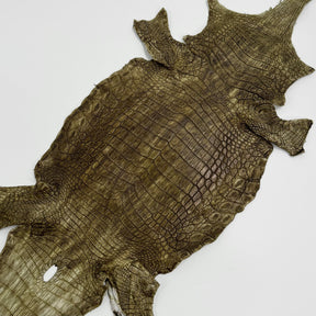 Buy 2, Get 20% OFF - Small Nile Crocodile - Only 4 available | SALE