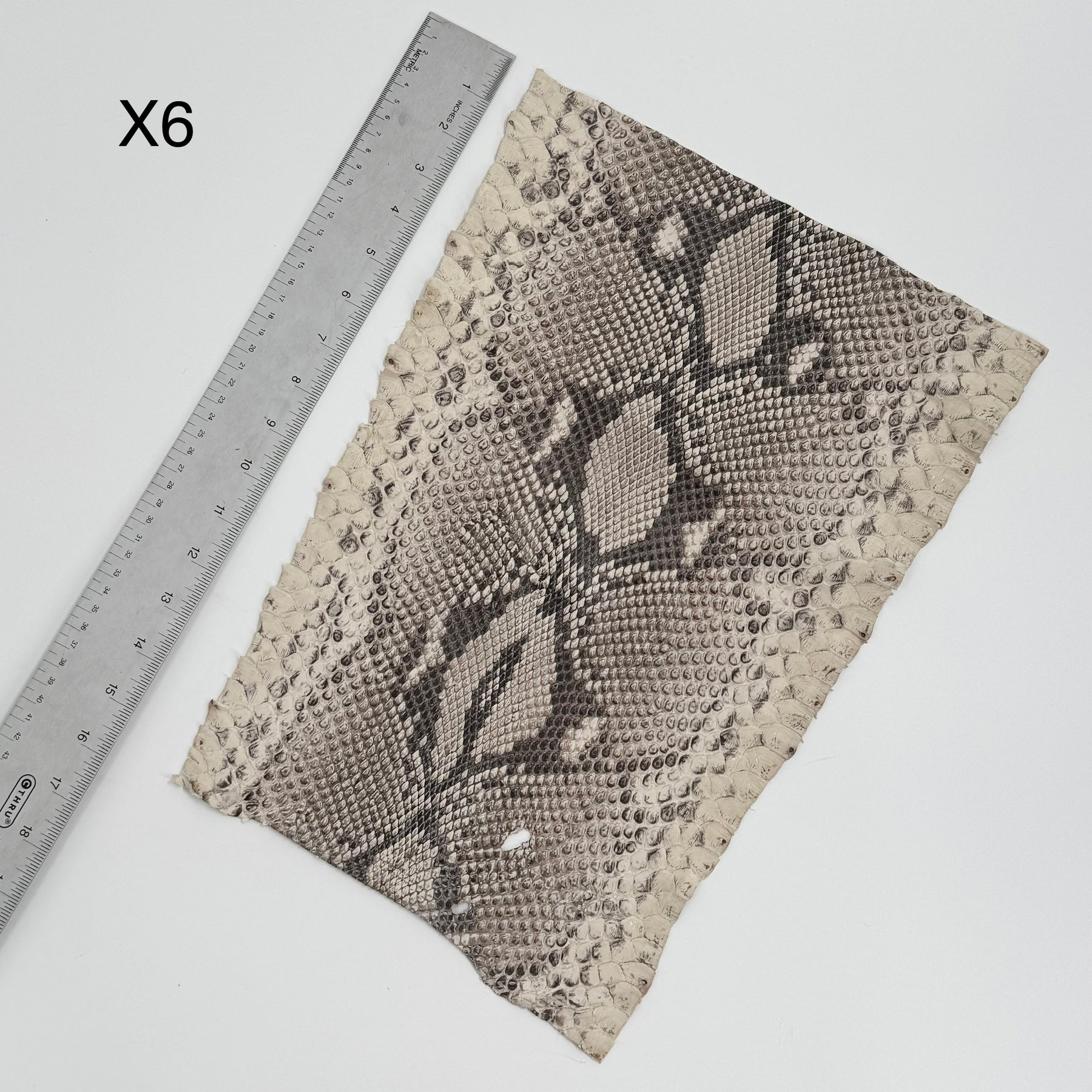 Short Python Cuts | Final Sale