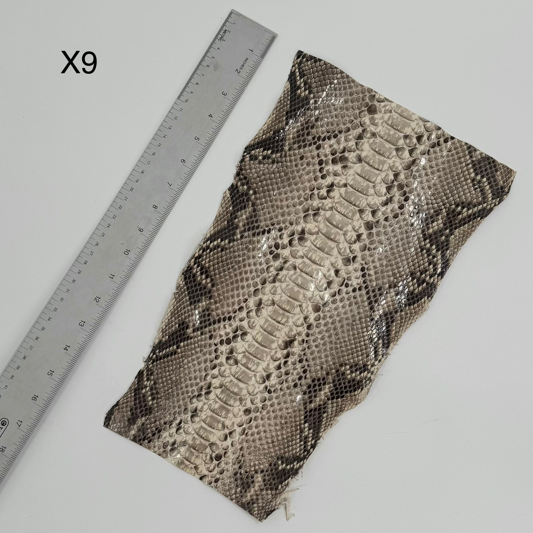 Short Python Cuts | Final Sale