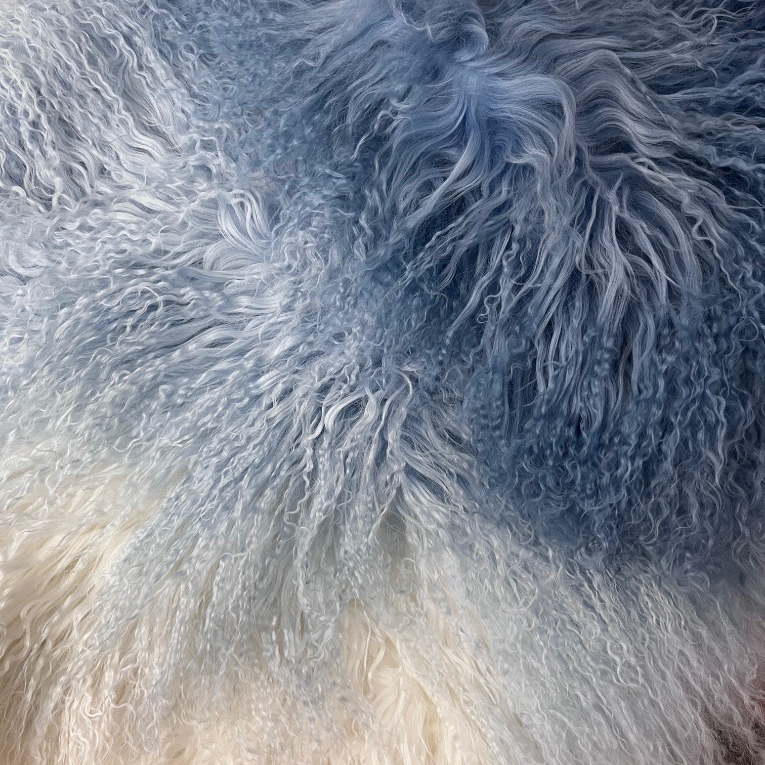 Gradient Mongolian Lamb Plate | Blue