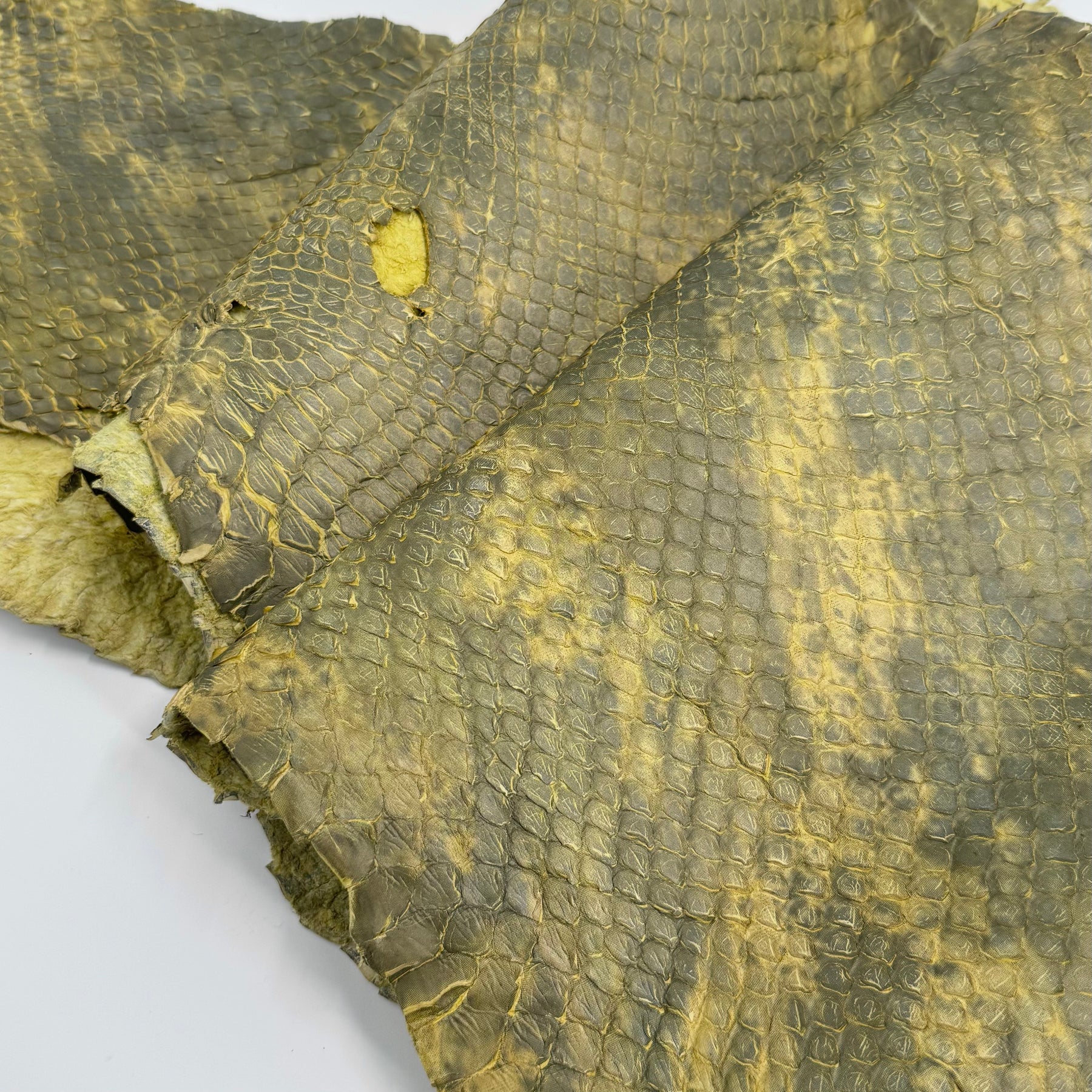 Yellow/Green Dimensional Python Front Cut Long Tail (Grade 2) Only 1 Available ZY8 | SALE