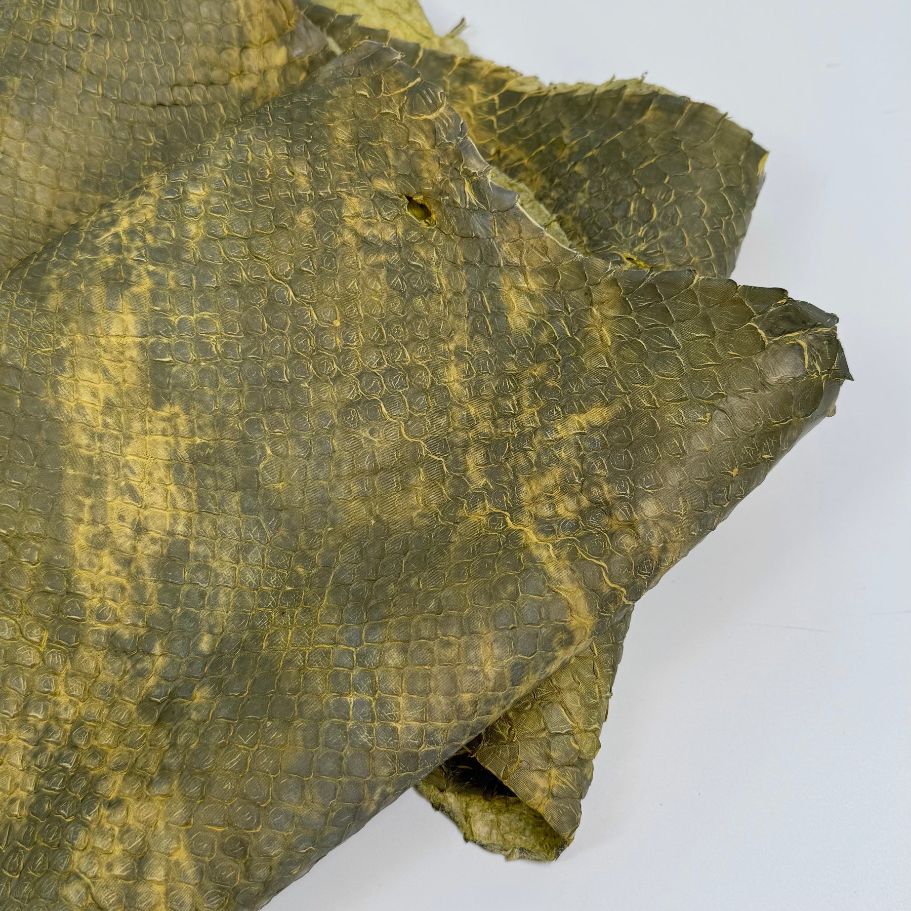 Yellow/Green Dimensional Python Front Cut Long Tail (Grade 2) Only 1 Available ZY8 | SALE