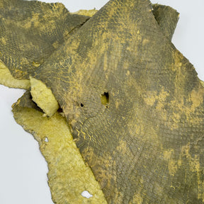 Yellow/Green Dimensional Python Front Cut Long Tail (Grade 2) Only 1 Available ZY8 | SALE