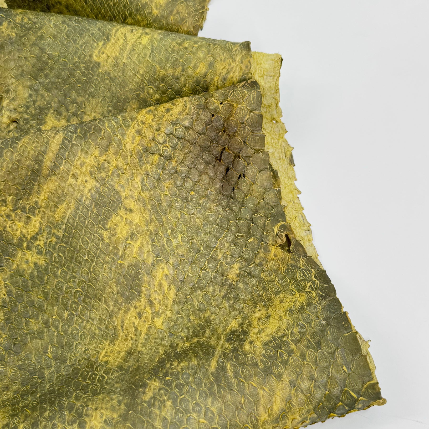 Yellow/Green Dimensional Python Front Cut Long Tail (Grade 2) Only 1 Available ZY9 | SALE
