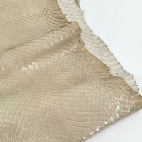 EXTRA LARGE & Wide Front Cut Glazed Python - Only 3 Available | SALE
