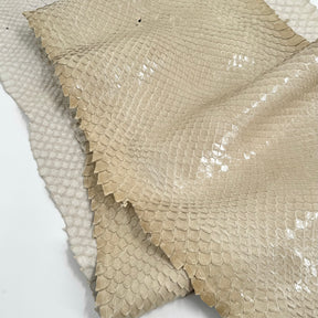 EXTRA LARGE & Wide Front Cut Glazed Python - Only 3 Available | SALE