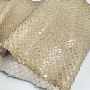 EXTRA LARGE & Wide Front Cut Glazed Python - Only 3 Available | SALE