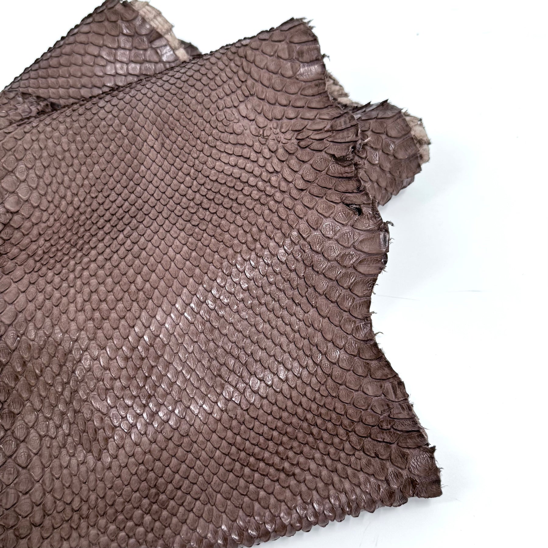 Skinny Front Cut Warm Taupe Python - Only 1 Available | SALE