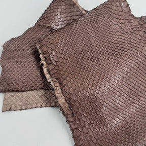 Skinny Front Cut Warm Taupe Python - Only 1 Available | SALE