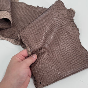 Skinny Front Cut Warm Taupe Python - Only 1 Available | SALE
