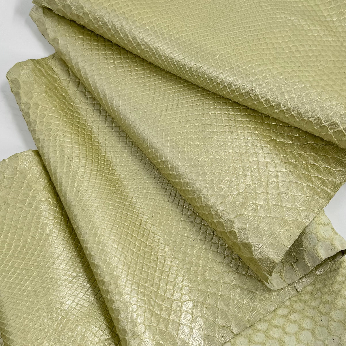 Pearlized Minty Python Cut - Only 2 Available | SALE