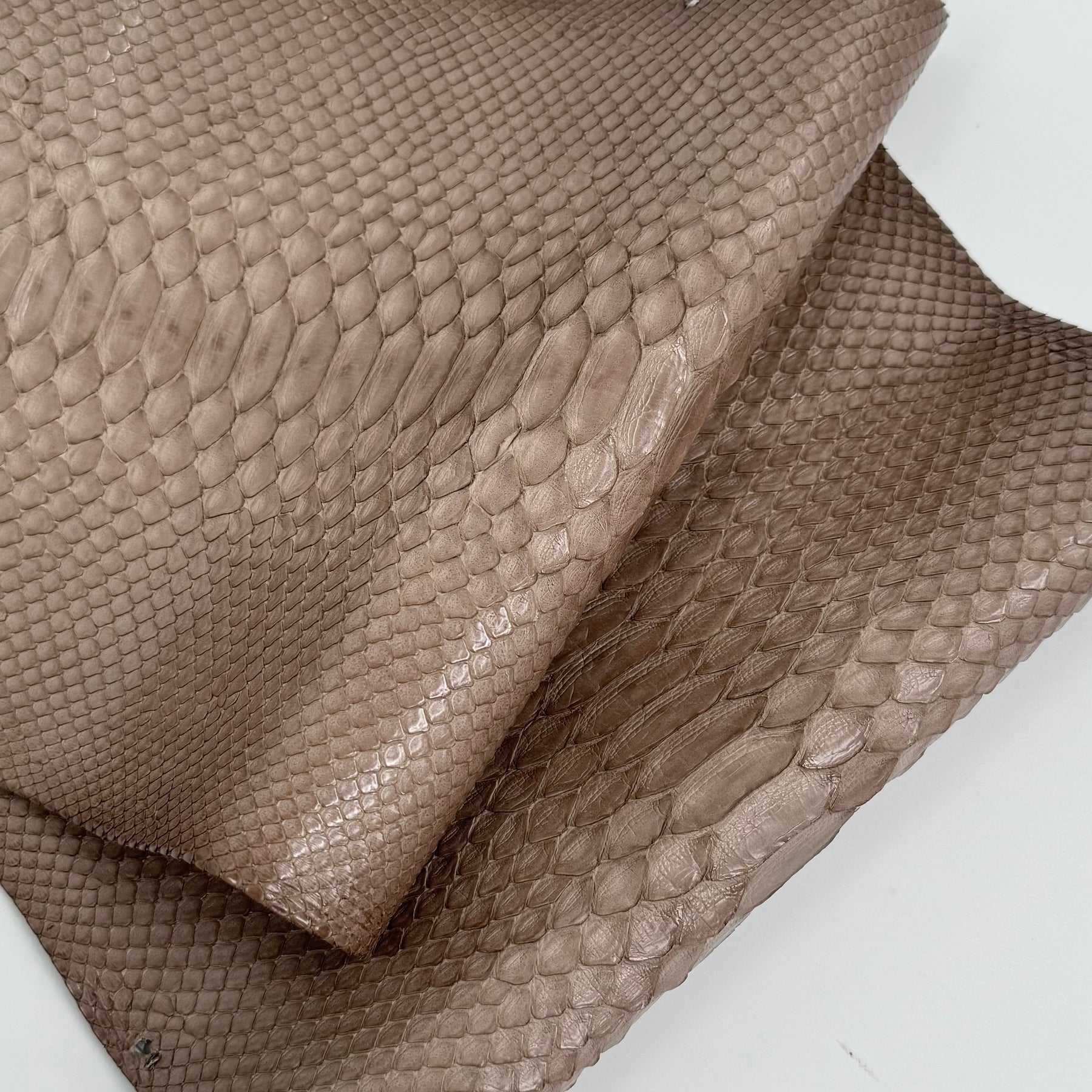 Taupe Python Cut - Only 1 Available | SALE