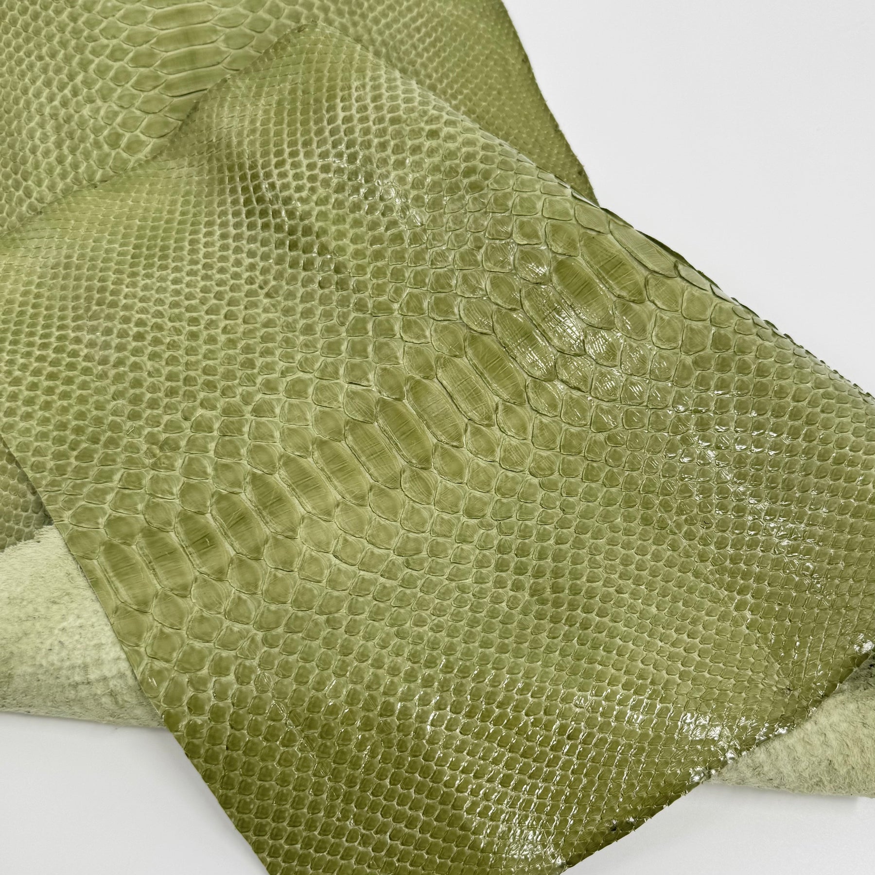 Apple Glazed Python Cut Back Cut - Only 1 Available | SALE