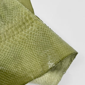 Apple Glazed Python Cut Back Cut - Only 1 Available | SALE