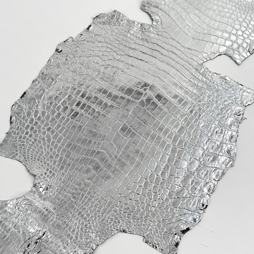 Silver Mirror Foil Mini Nile Crocodile | 23-26 cm