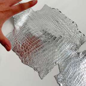 Silver Mirror Foil Mini Nile Crocodile | 23-26 cm