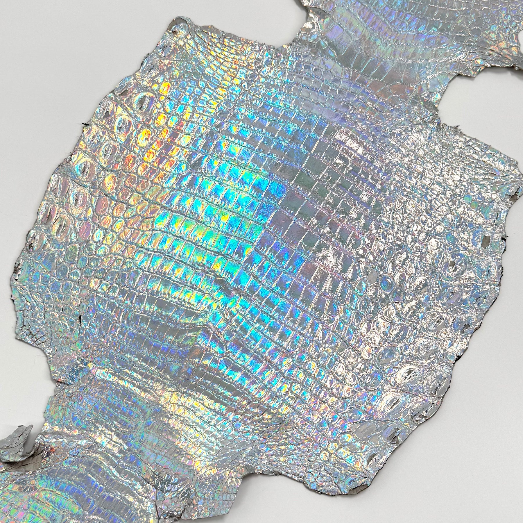 Holographic Foil Mini Nile Crocodile (23-26 cm) | Ships in 3-4 weeks
