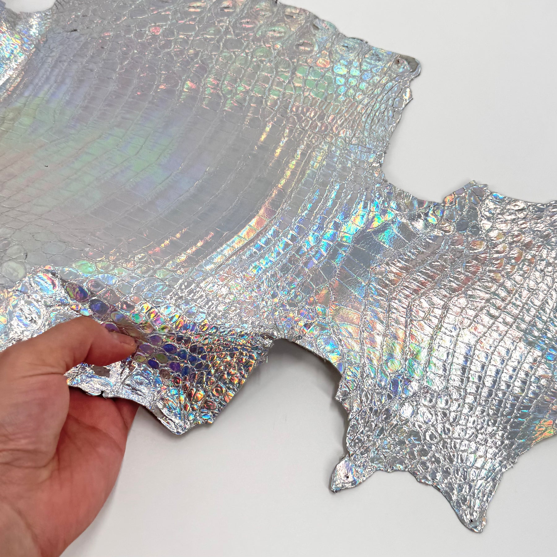 Holographic Foil Mini Nile Crocodile (23-26 cm) | Ships in 3-4 weeks