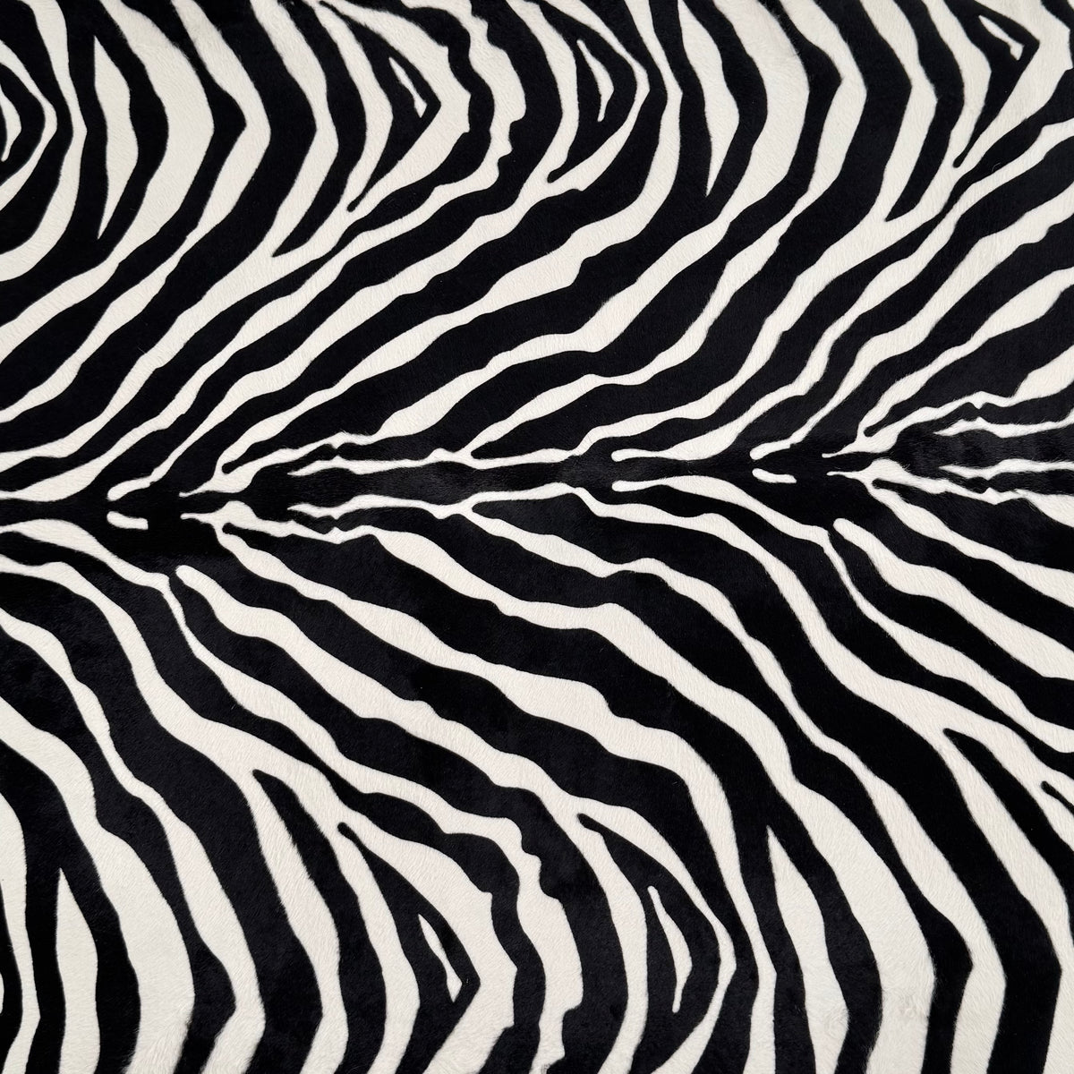 Short Hair Black & White Zebra Cavalino | only 6 skins available!