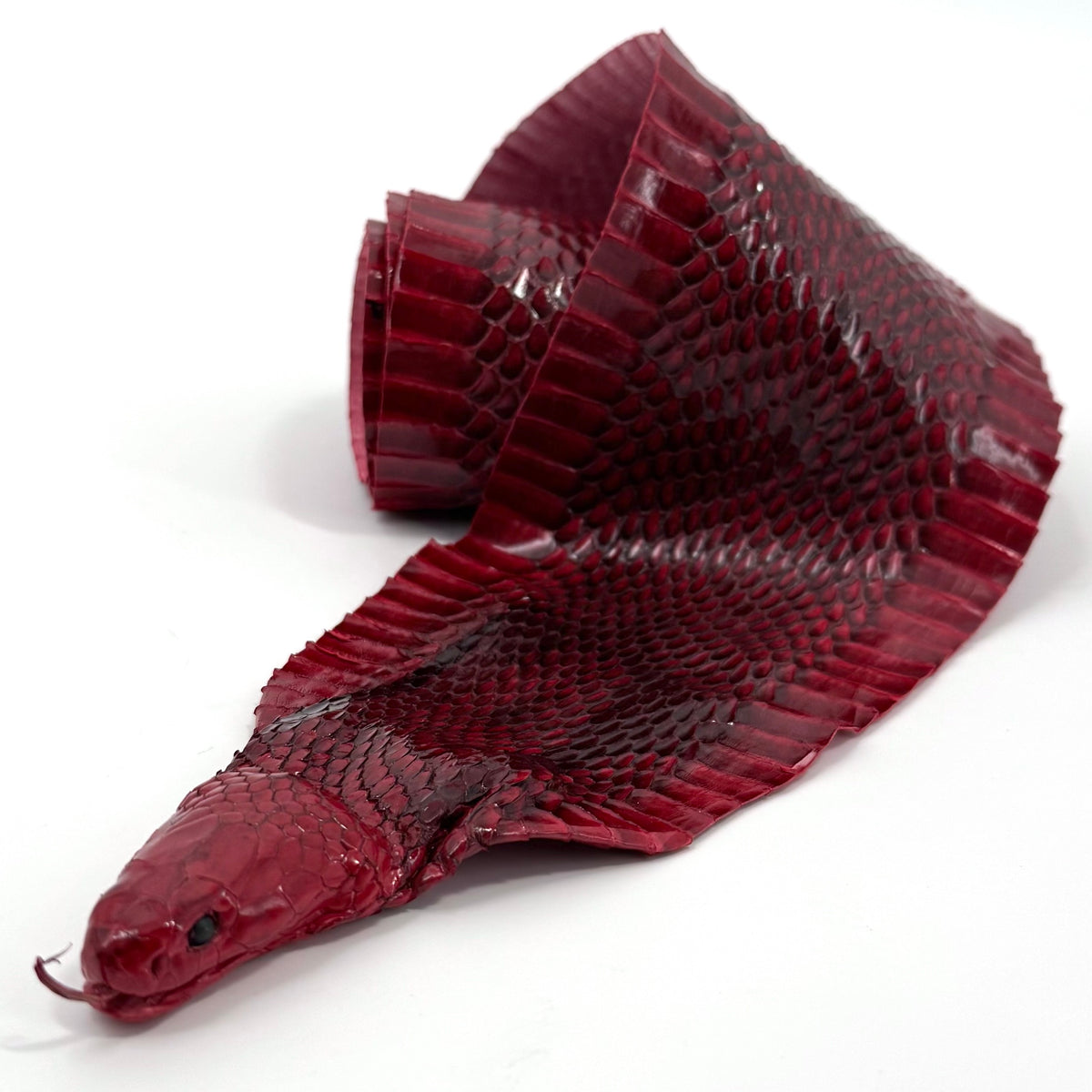 Head-On Genuine Cobra Skin