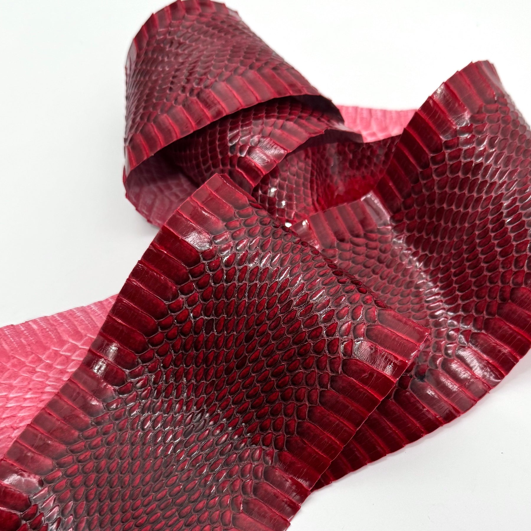 Head-On Genuine Cobra Skin