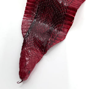 Head-On Cobra Skin