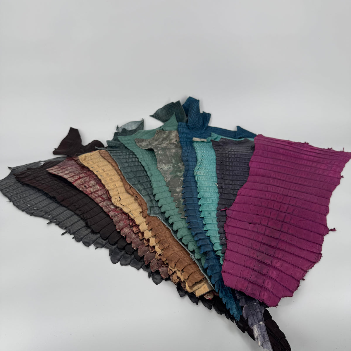 Assorted Caiman Tail Bundle – Multi-Color