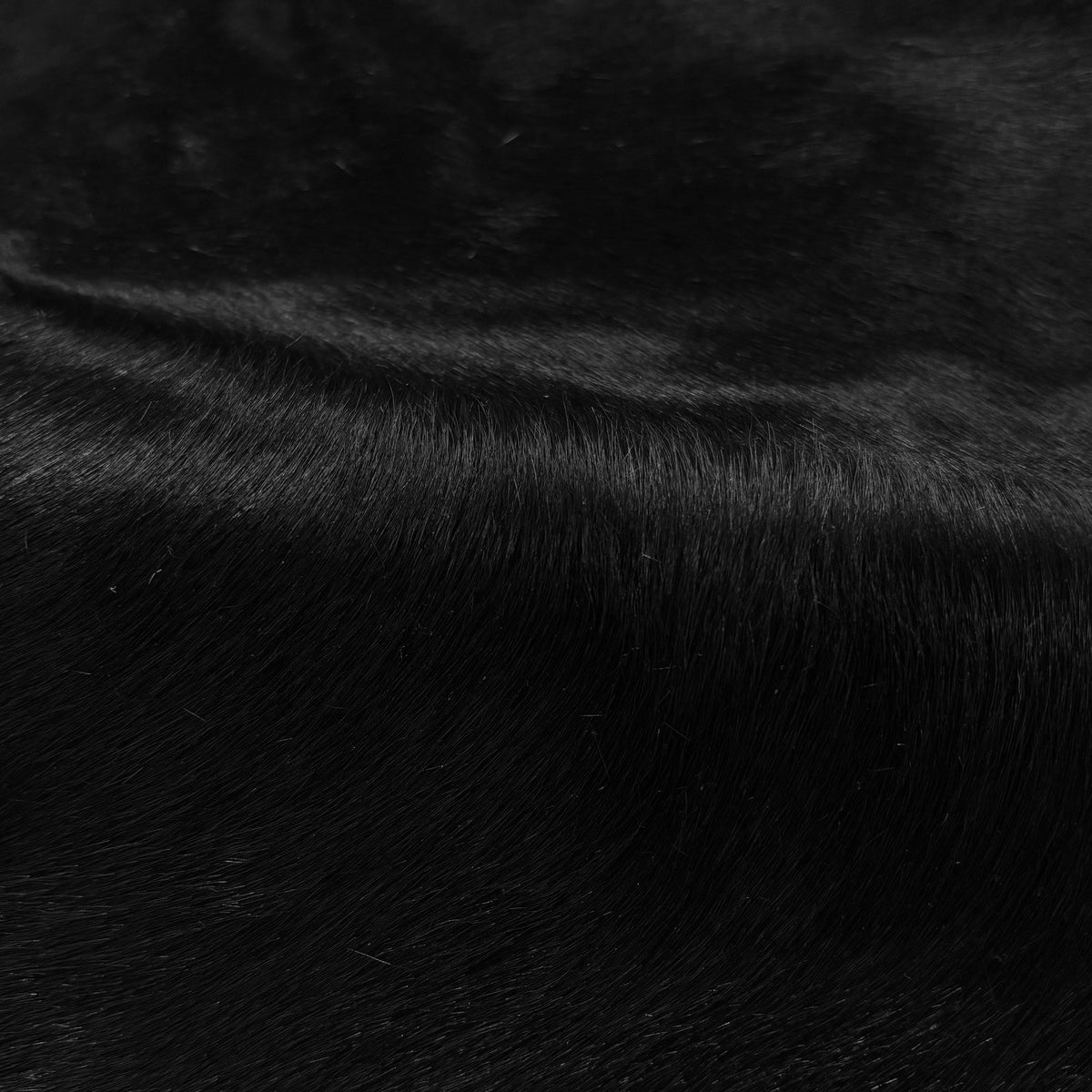 Hair-on Cow Hide | Ships in 2 weeks