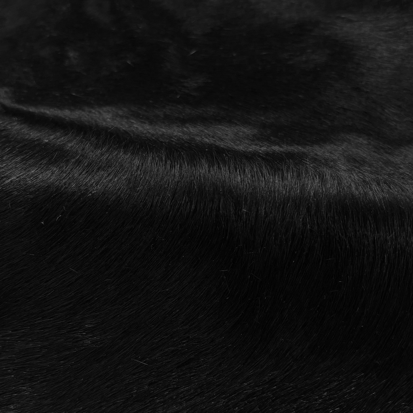 Hair-on Cow Hide | SAMPLES