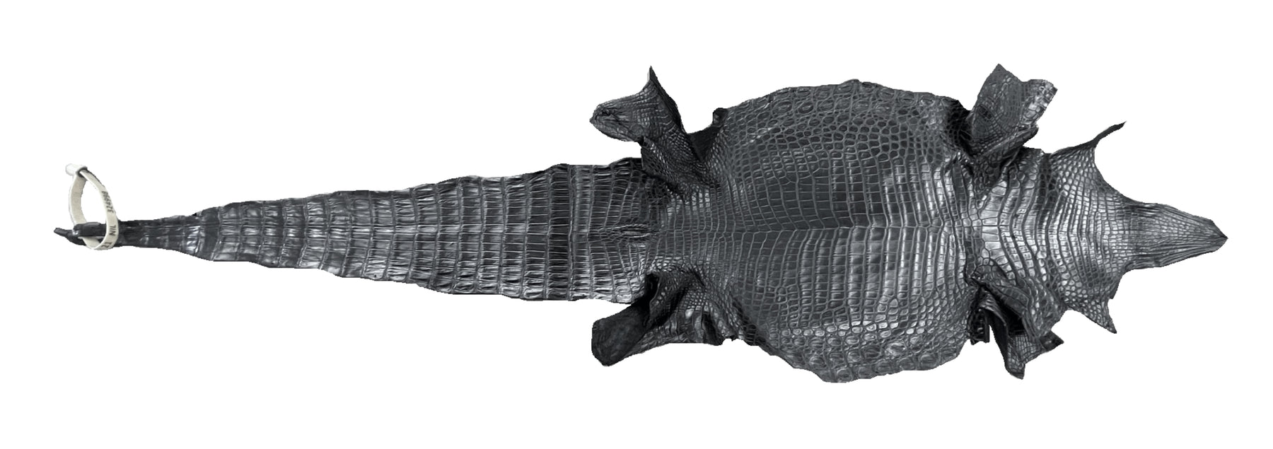 Amazon.com: Exotic Genuine Crocodile Skin Women Classic